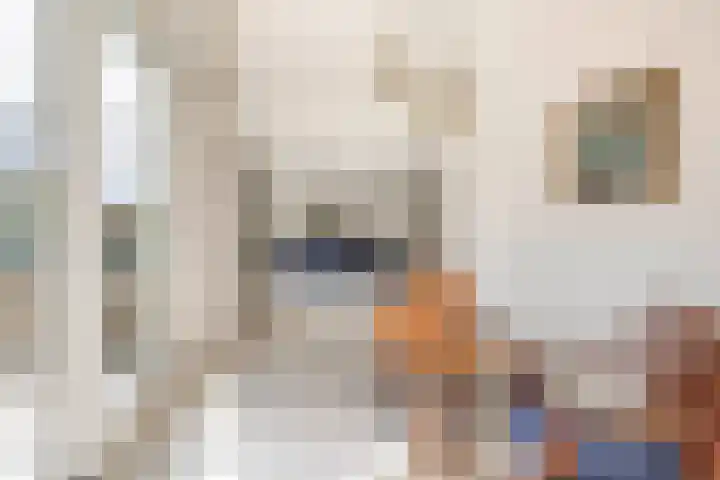 Krammer 40 h Brielle thumbnail 22