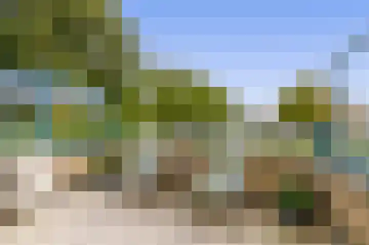 Krammer 40 h Brielle thumbnail 23