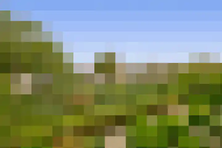 Krammer 40 h Brielle thumbnail 25