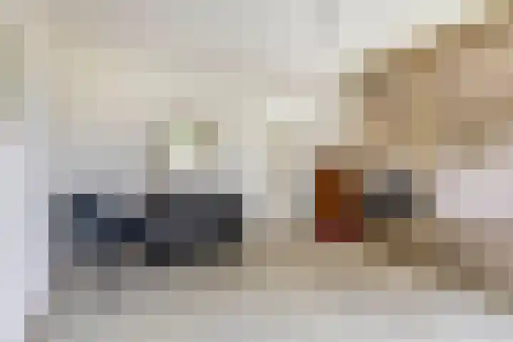Krammer 40 h Brielle thumbnail 27