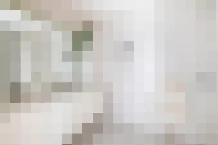 Krammer 40 h Brielle thumbnail 29