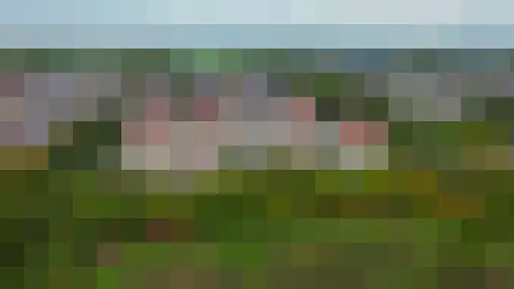 Krammer 40 h Brielle thumbnail 38