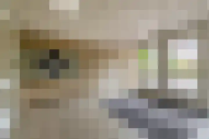 Krammer 40 h Brielle thumbnail 5