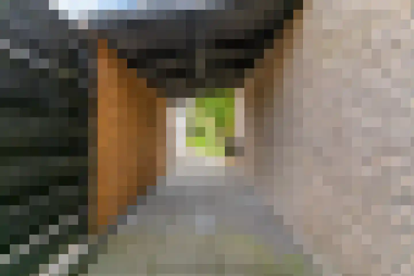 Krammer 44 Alphen aan den Rijn thumbnail 20