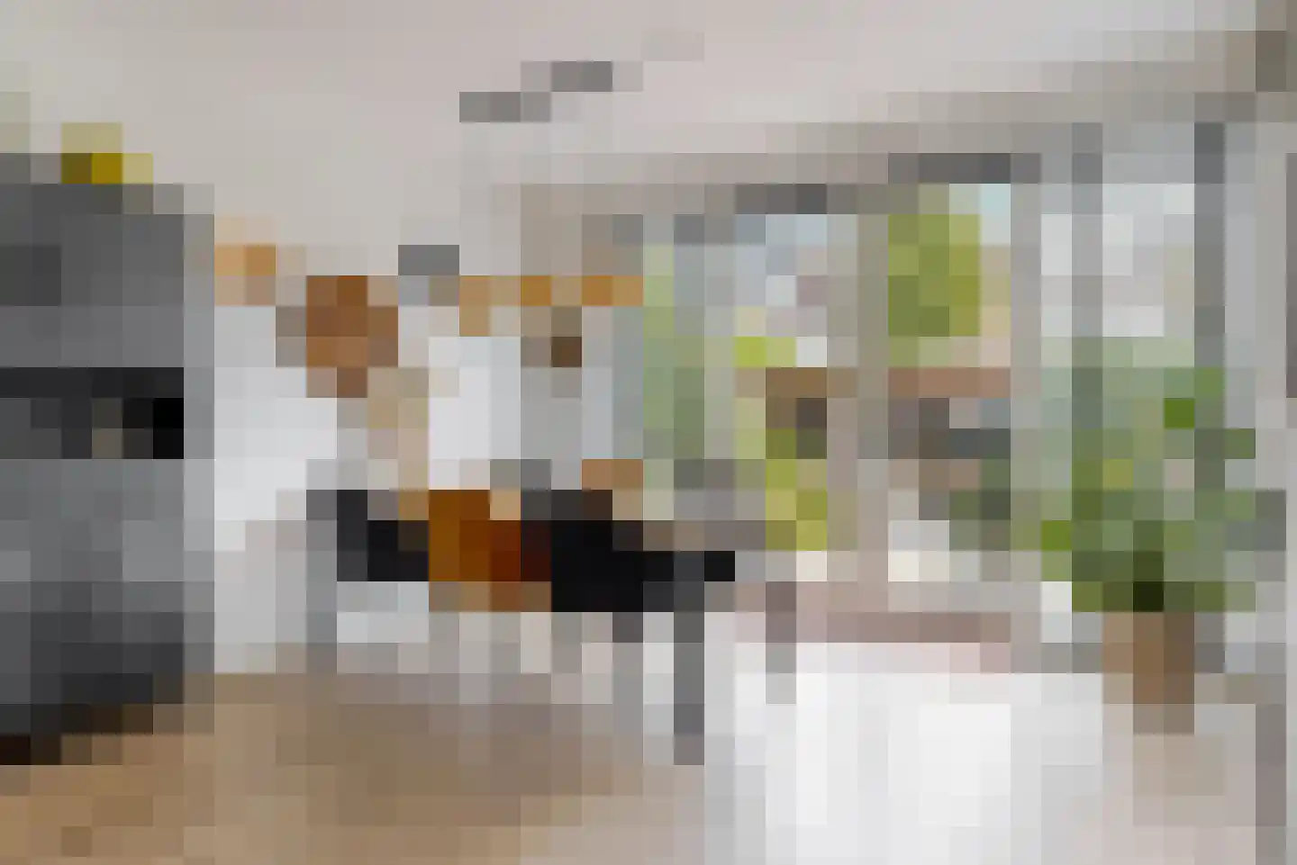 Krammer 44 Alphen aan den Rijn thumbnail 4