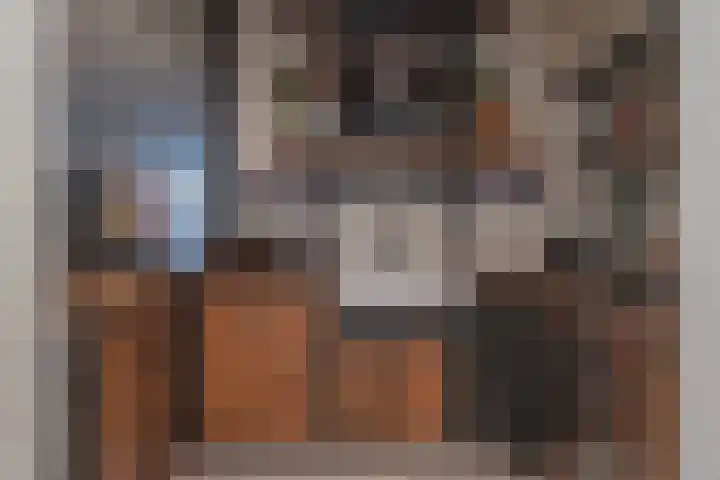 Krammer 5 Hansweert thumbnail 11