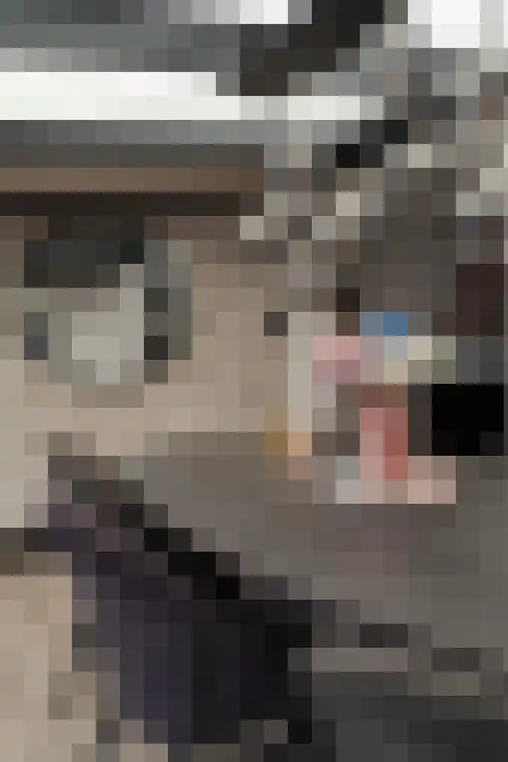Krammer 5 Hansweert thumbnail 13