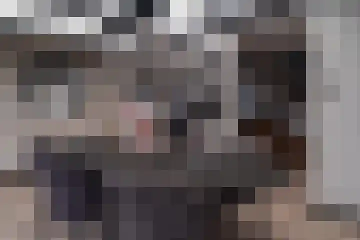 Krammer 5 Hansweert thumbnail 14