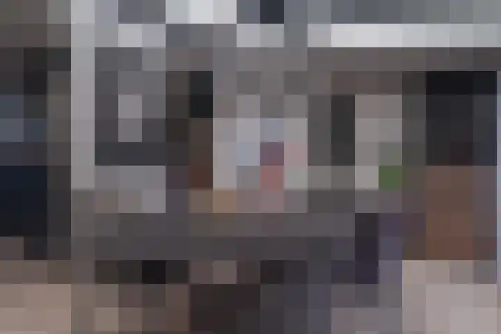 Krammer 5 Hansweert thumbnail 15