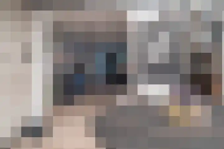 Krammer 5 Hansweert thumbnail 16