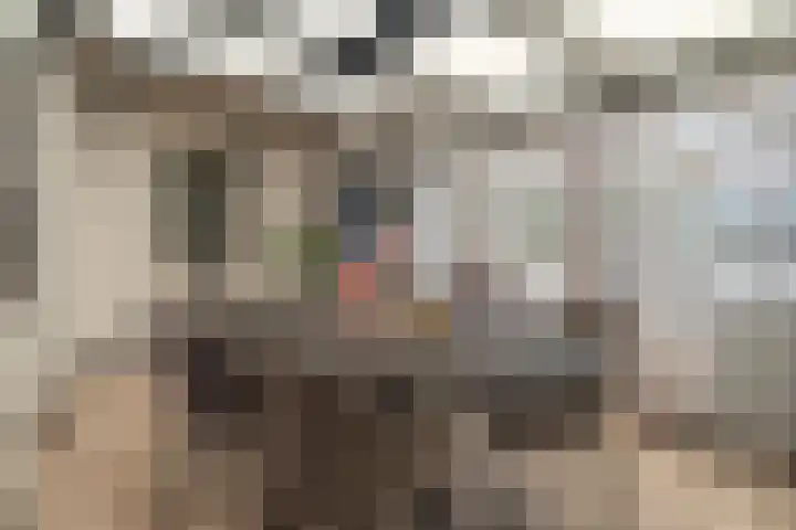 Krammer 5 Hansweert thumbnail 17