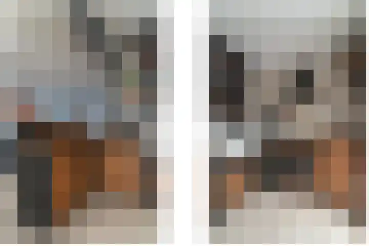 Krammer 5 Hansweert thumbnail 18