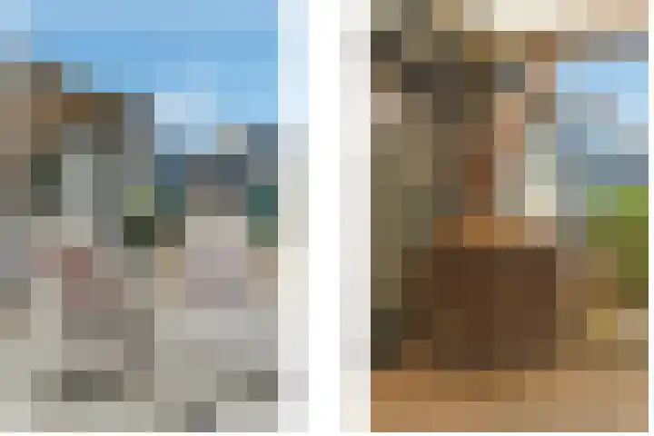 Krammer 5 Hansweert thumbnail 21