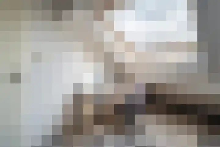 Krammer 5 Hansweert thumbnail 28