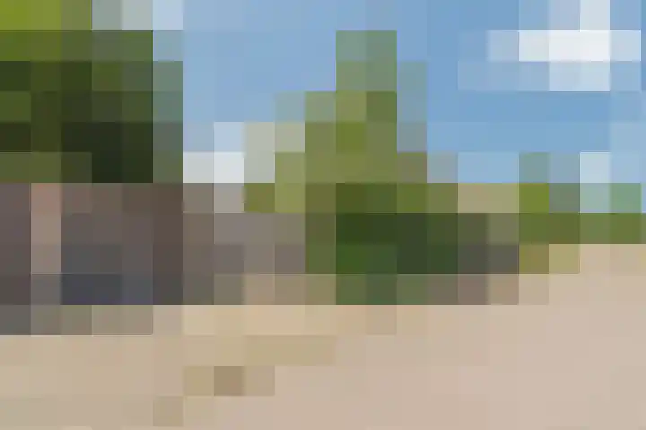 Krammer 5 Hansweert thumbnail 30