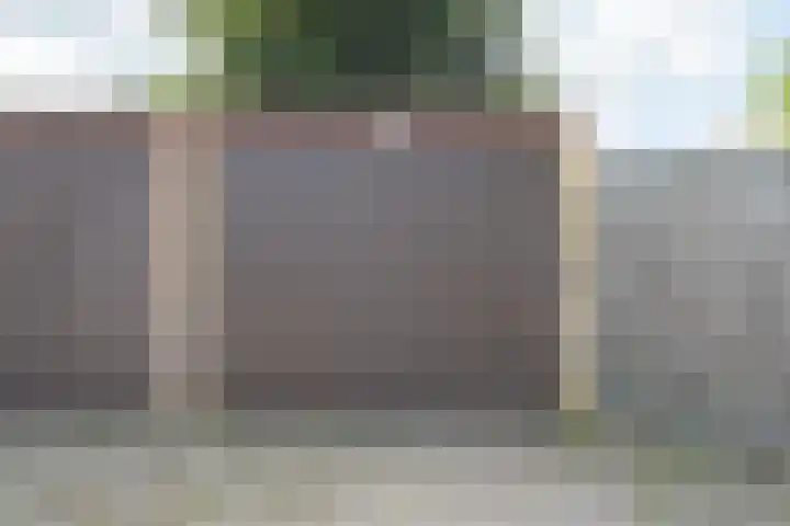 Krammer 5 Hansweert thumbnail 32