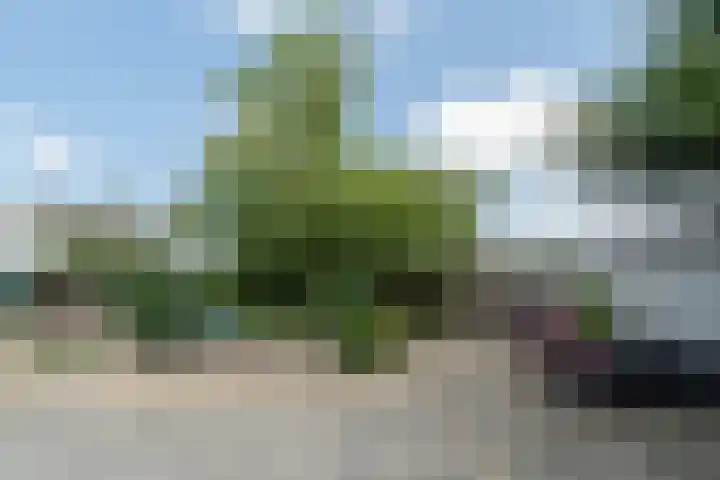 Krammer 5 Hansweert thumbnail 34