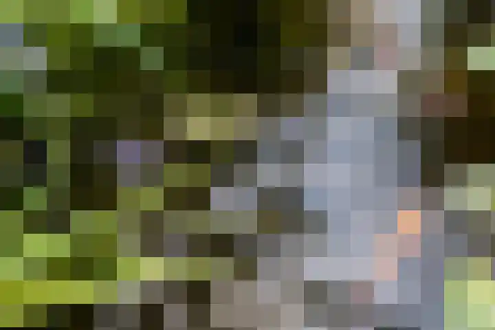 Krammer 5 Hansweert thumbnail 40