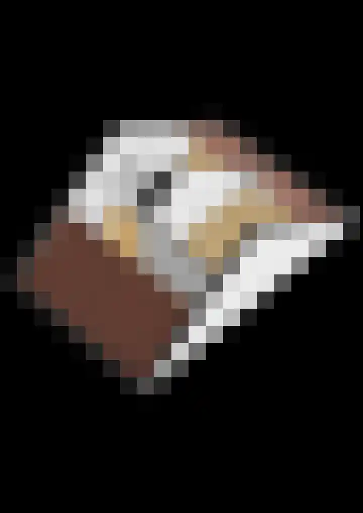 Krammer 5 Hansweert thumbnail 49