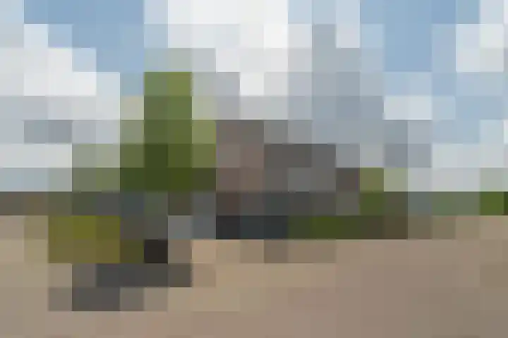 Krammer 5 Hansweert thumbnail 5