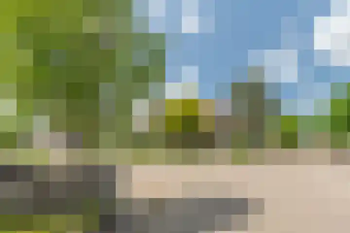 Krammer 5 Hansweert thumbnail 6