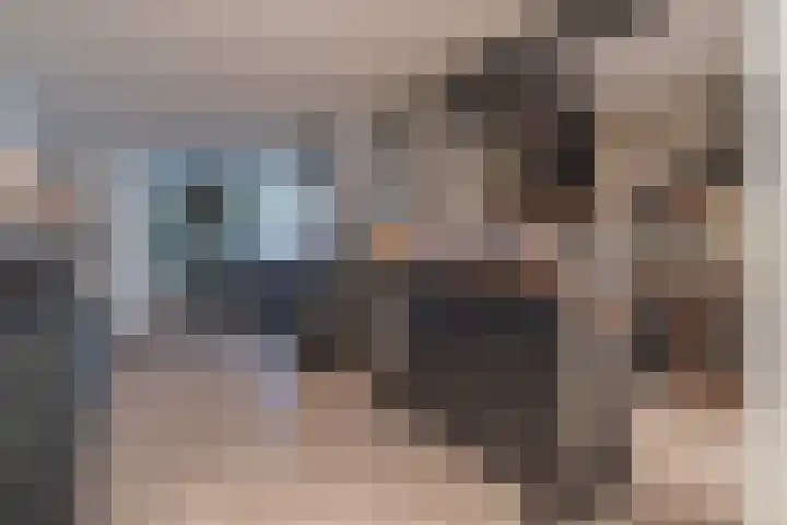 Krammer 5 Hansweert thumbnail 9