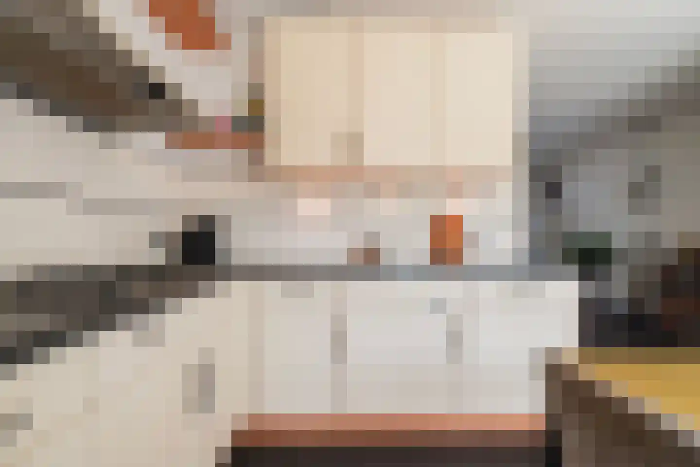 Krammer 7 Kaatsheuvel thumbnail 15