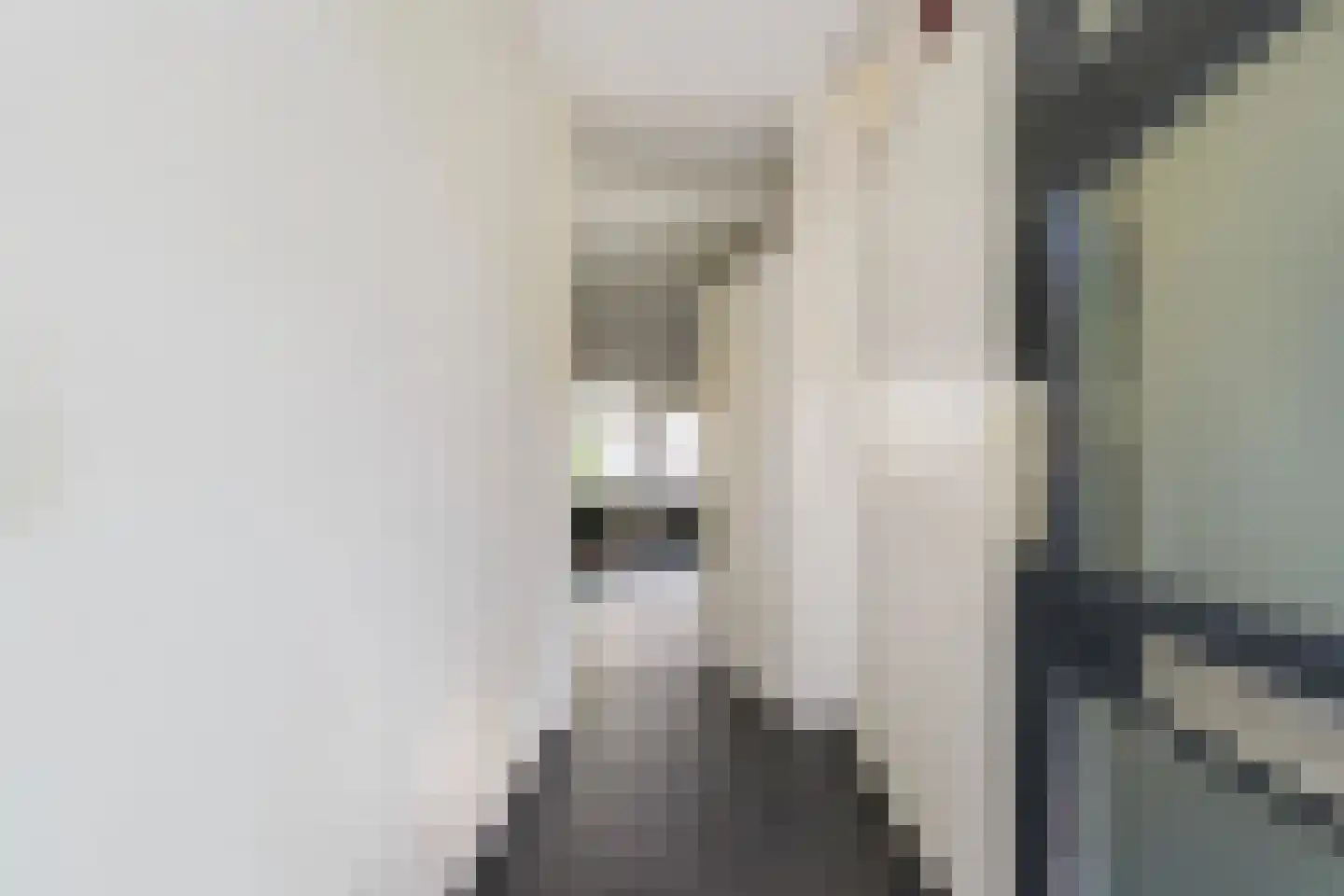 Krammer 7 Kaatsheuvel thumbnail 7