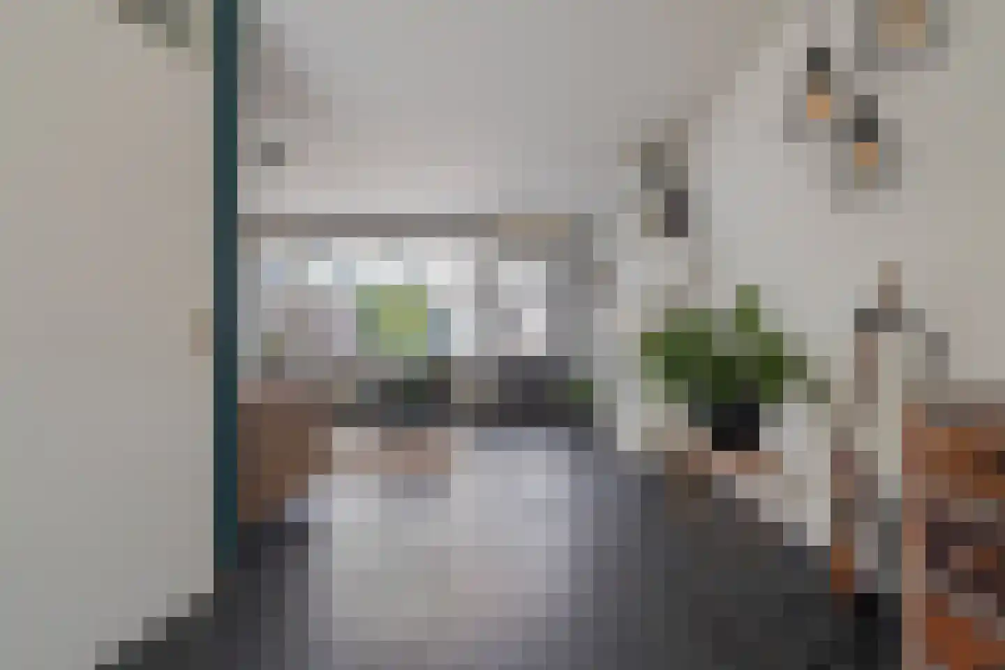 Krammer 7 Kaatsheuvel thumbnail 8