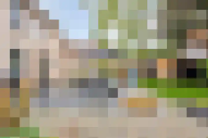 Krammer 8 Kaatsheuvel thumbnail 4