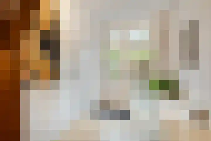 Krammer 8 Kaatsheuvel thumbnail 6