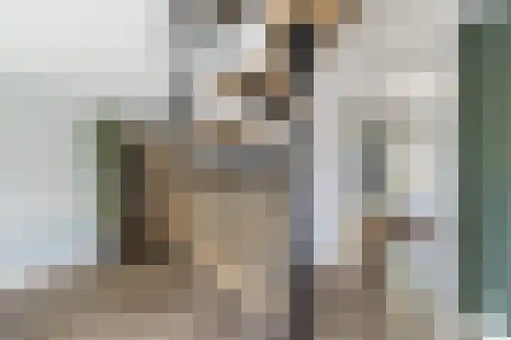 Krammer 86 Brielle thumbnail 17