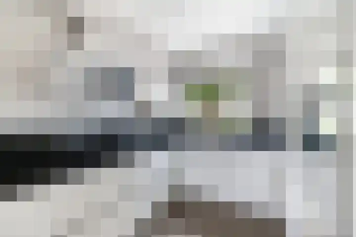 Krammer 86 Brielle thumbnail 19