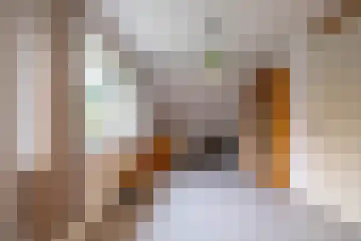 Krammer 86 Brielle thumbnail 25