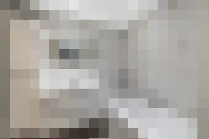 Krammer 86 Brielle thumbnail 30