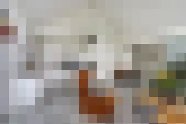 Krammer 86 Brielle thumbnail 33