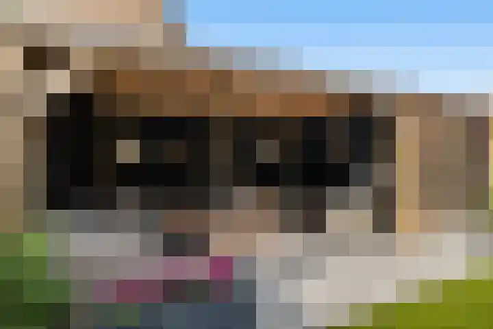Krammer 86 Brielle thumbnail 39