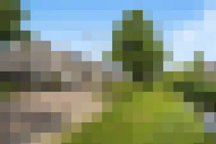 Krammer 86 Brielle thumbnail 45