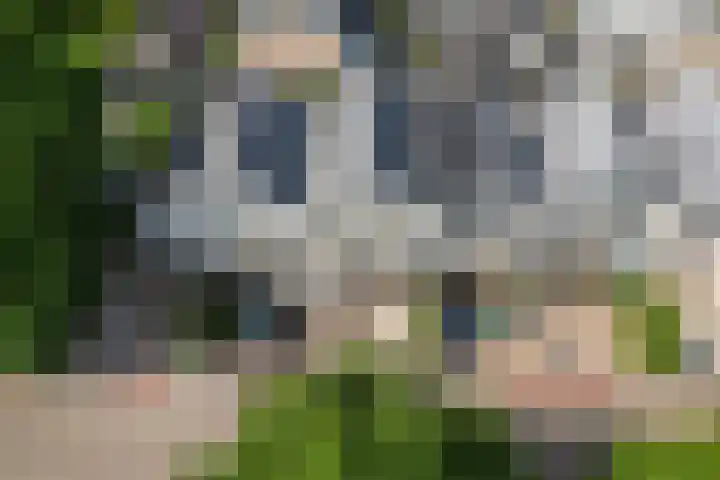 Krammer 86 Brielle thumbnail 47