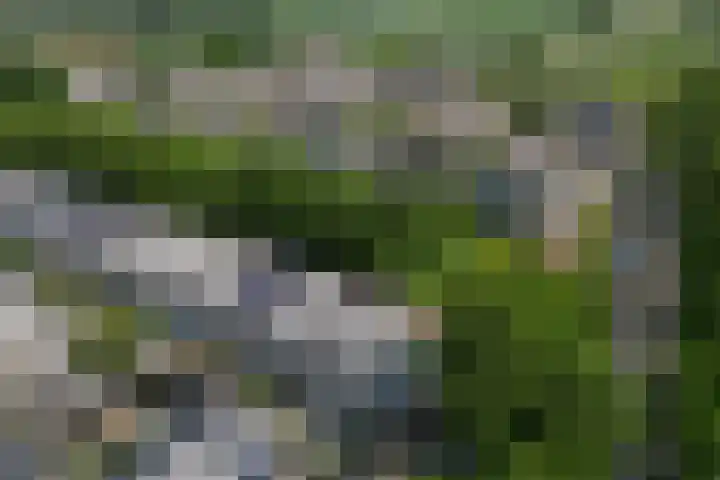 Krammer 86 Brielle thumbnail 50
