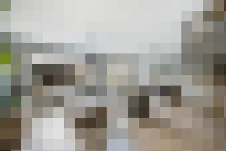 Krammer 86 Brielle thumbnail 9