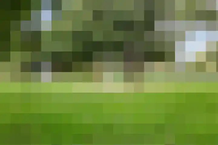 Krammerpad 30 Almere thumbnail 30