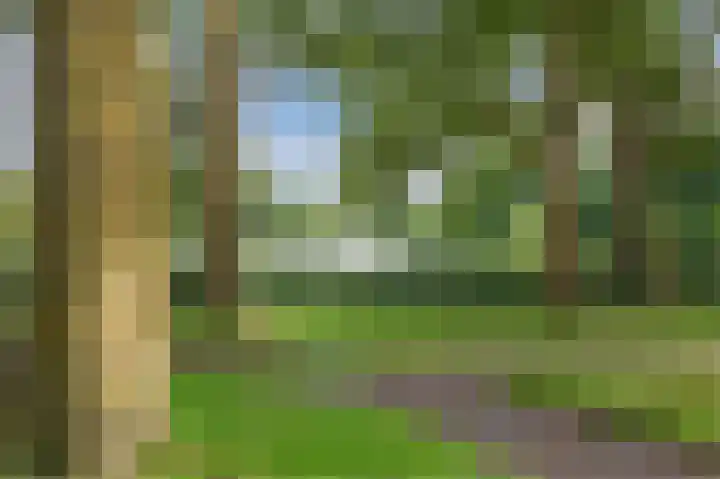 Krammerpad 30 Almere thumbnail 31