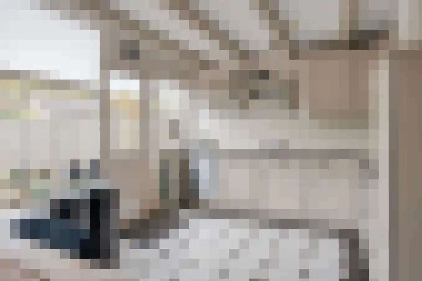 Krammerstraat 10 Sint Philipsland thumbnail 17