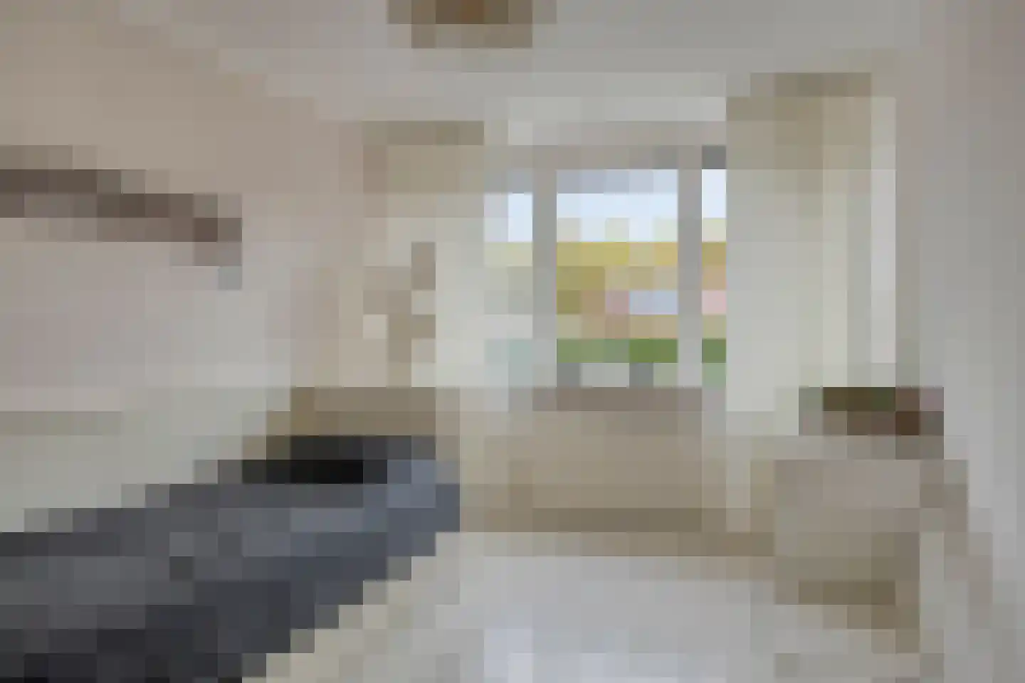 Krammerstraat 10 Sint Philipsland thumbnail 23