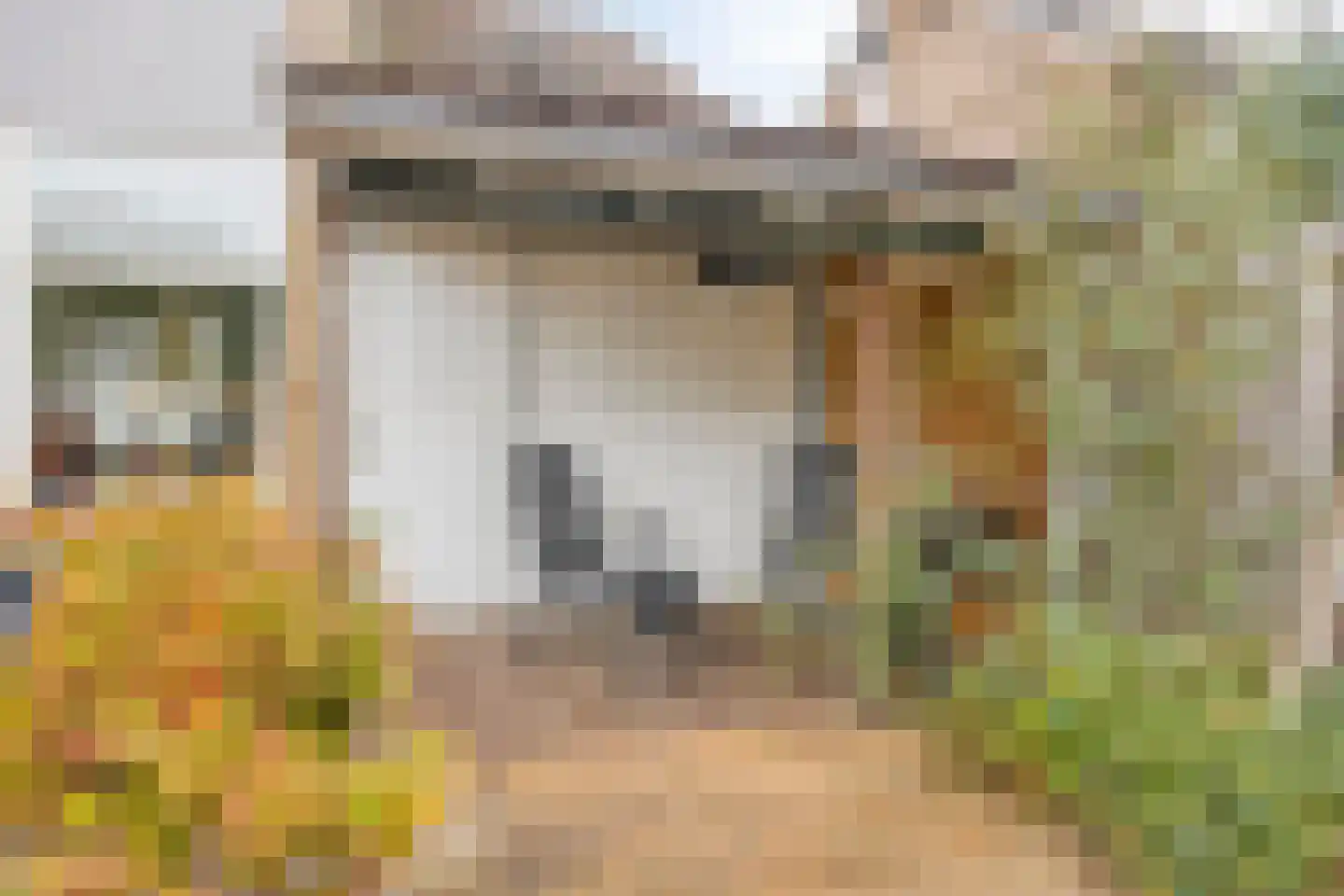 Krammerstraat 10 Sint Philipsland thumbnail 44