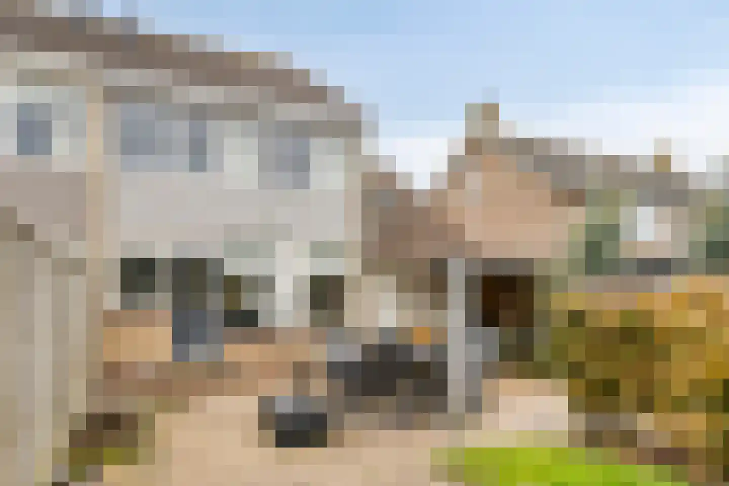 Krammerstraat 10 Sint Philipsland thumbnail 45