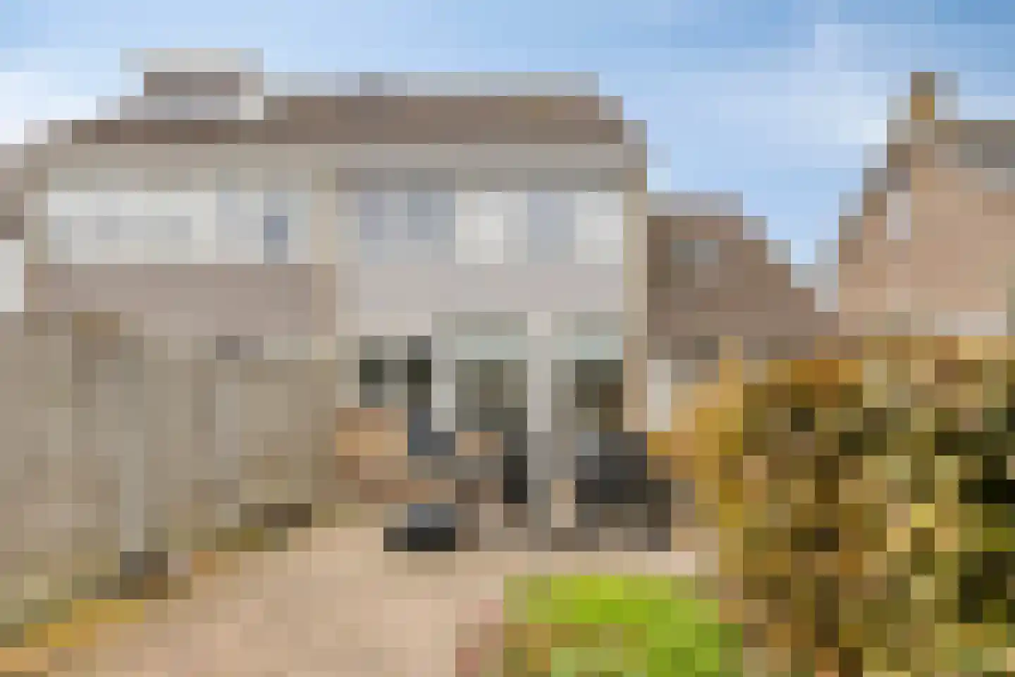 Krammerstraat 10 Sint Philipsland thumbnail 47