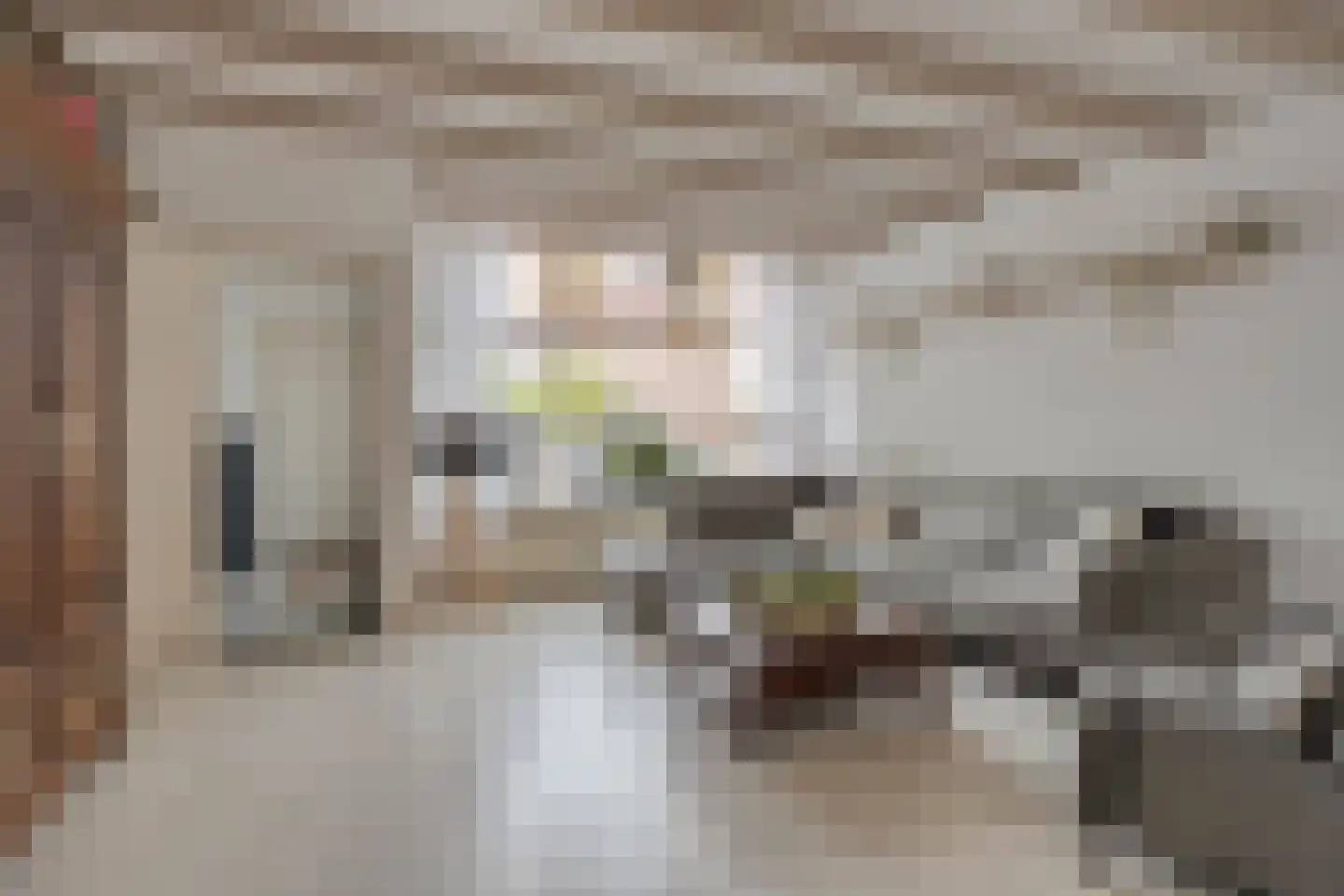 Krammerstraat 10 Sint Philipsland thumbnail 8