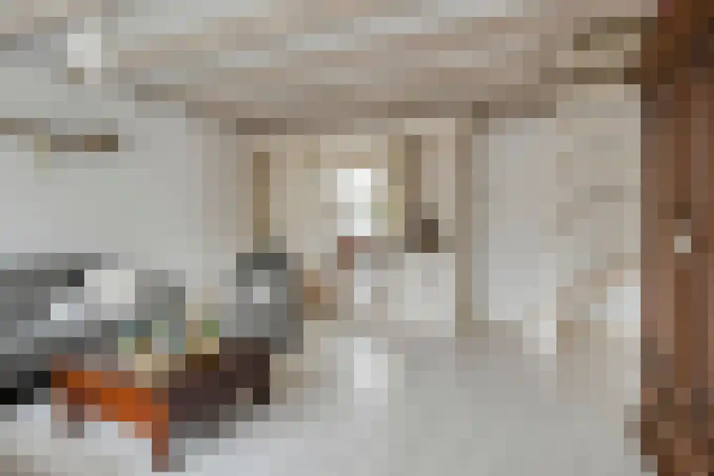 Krammerstraat 10 Sint Philipsland thumbnail 9